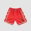 B/R SHOP Future X Atlanta Hawks Swingman Shorts