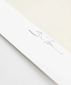 The Loyalist Sue Tsai Knicks Print (Limited To 75)